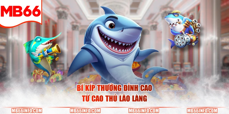 Bí kíp thưởng đỉnh cao từ cao thủ lão làng