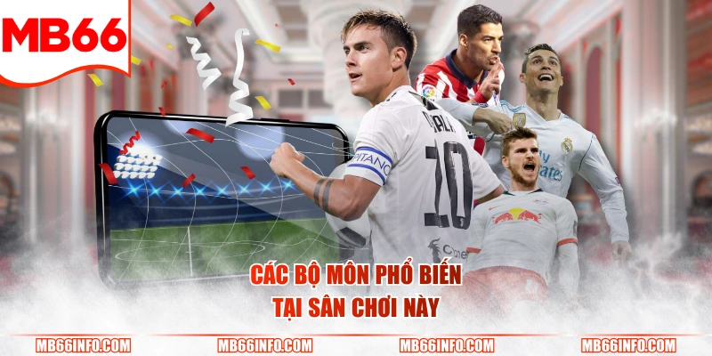 Các bộ môn phổ biến tại sân chơi này