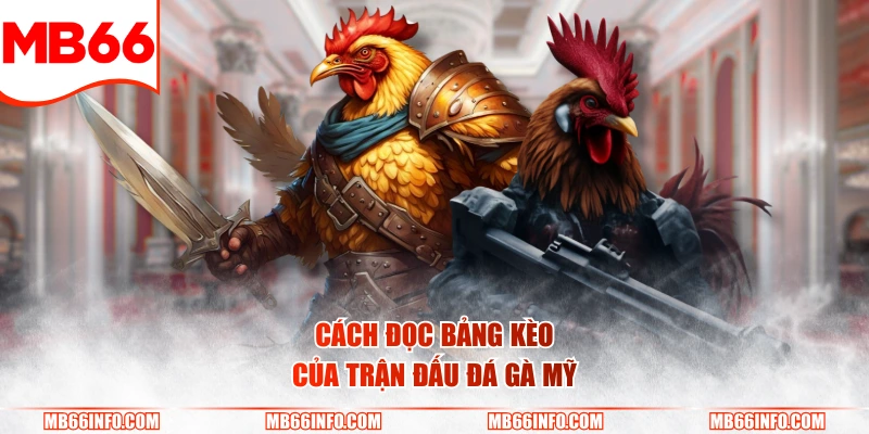 Cách đọc bảng kèo của trận đấu đá gà Mỹ