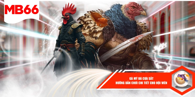 Gà Mỹ Đá Cựa Sắt - Hướng Dẫn Chơi Chi Tiết Cho Hội Viên