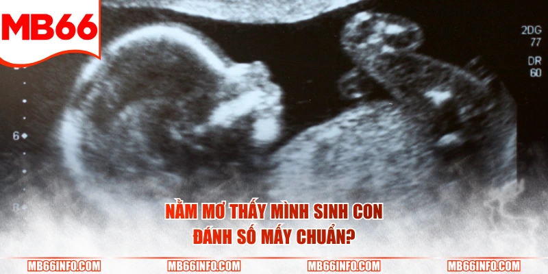 Nằm mơ thấy mình sinh con đánh số mấy chuẩn?