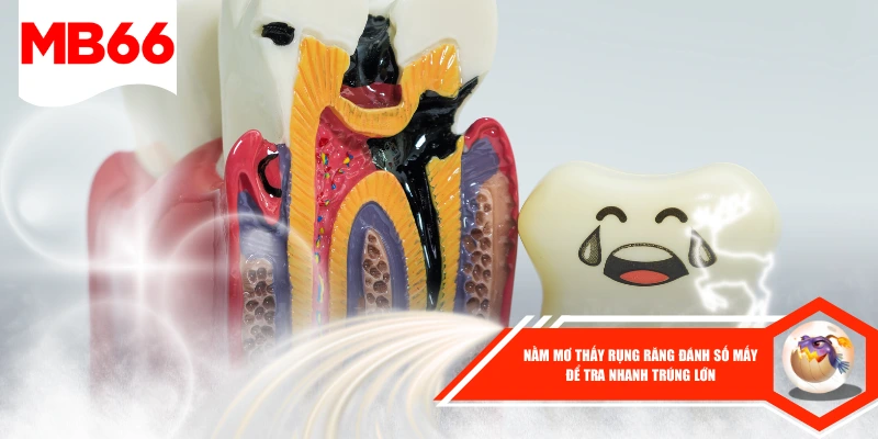 Nằm Mơ Thấy Rụng Răng Đánh Số Mấy Để Tra Nhanh Trúng Lớn