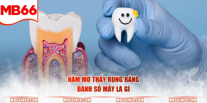 Nằm mơ thấy rụng răng đánh số mấy là gì