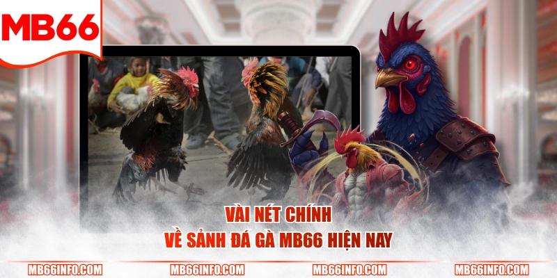 Vài nét chính về sảnh đá gà Mb66 hiện nay